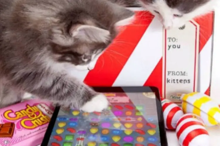 Gatinhos jogam o game Candy Crush no smartphone (Divulgação)