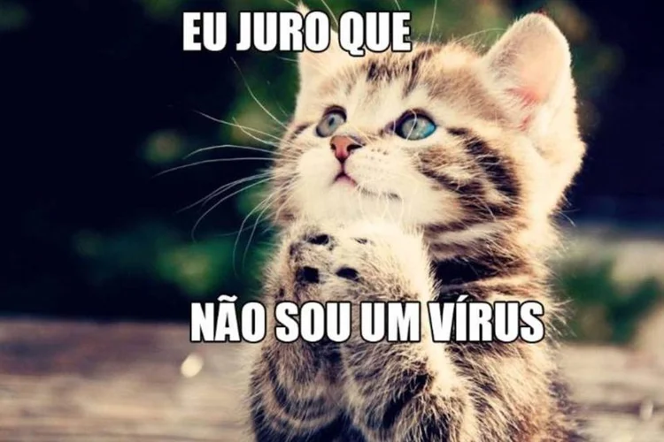 
	Especialista em seguran&ccedil;a diz que fotos podem ser infectadas
 (Reprodução)