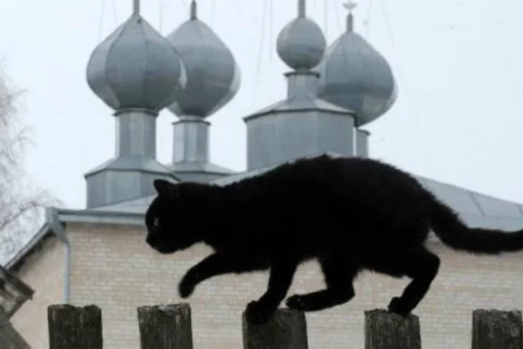 
	Gato preto: depois do Halloween, pedidos de ado&ccedil;&atilde;o nunca voltam
 (Viktor Drachev/AFP)