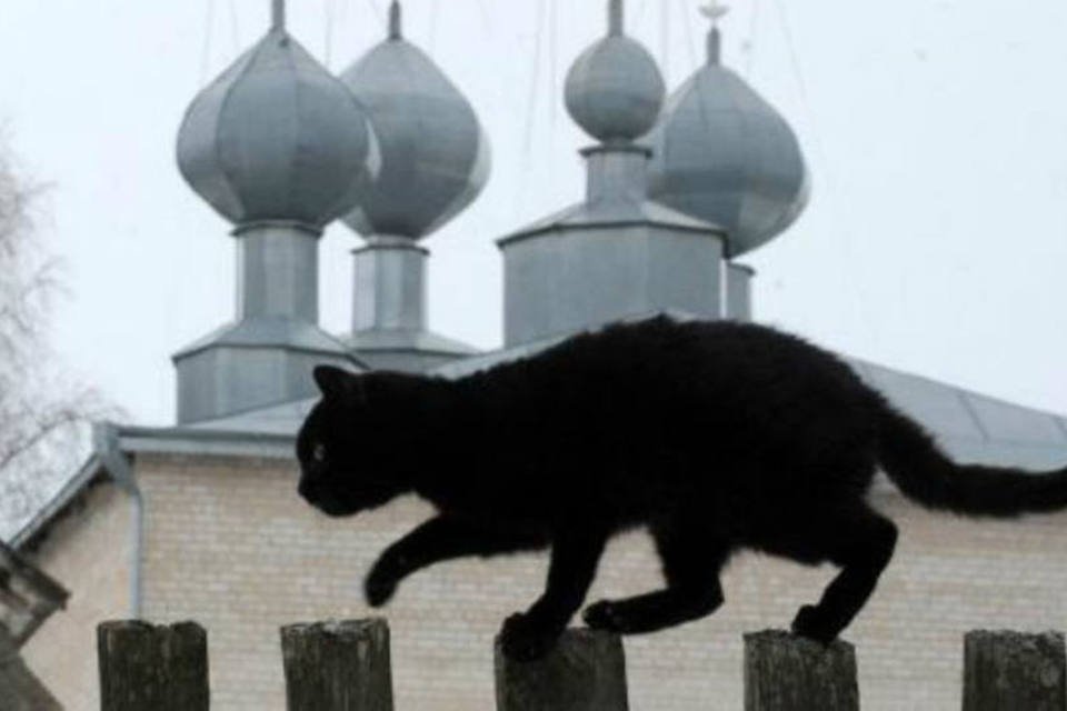 Gatos pretos são protegidos em Budapeste com Dia das Bruxas