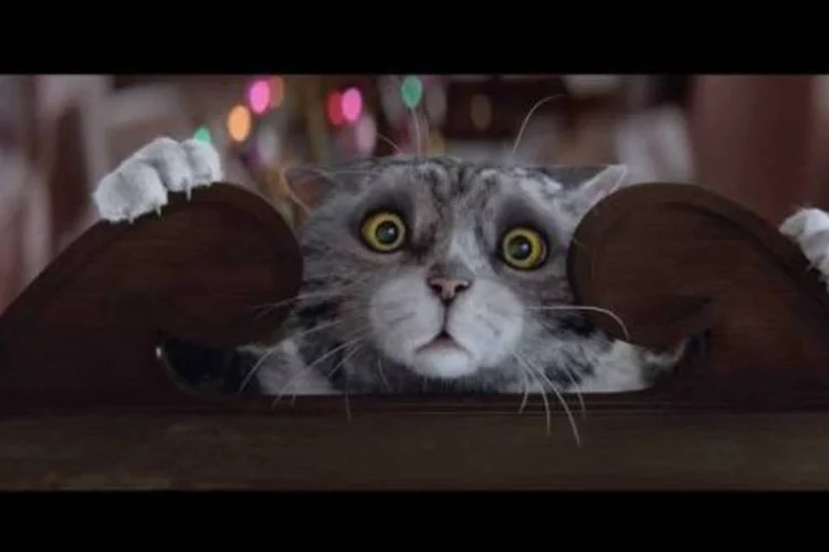 
	No comercial da Sainsbury, gato mant&eacute;m o sonho de voar, e &eacute; a partir da&iacute; que ele inicia uma verdadeira sequ&ecirc;ncia de desastres
 (Reprodução/YouTube)