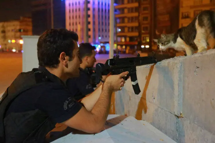 
	Gato olha para policial durante a&ccedil;&atilde;o militar na Turquia
 (Kemal Aslan/Reuters)
