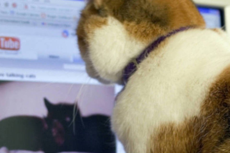 Mero vídeo de gato no  pode fazer um PC ser hackeado