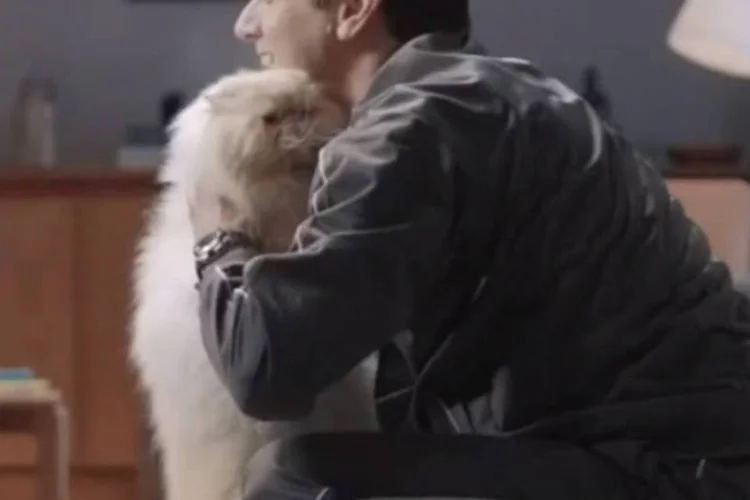 Trecho de comercial de ração: ideia é que, se você costuma colecionar inimigos por aí, é bom cuidar muito bem do único ser que vai te amar incondicionalmente (Reprodução)