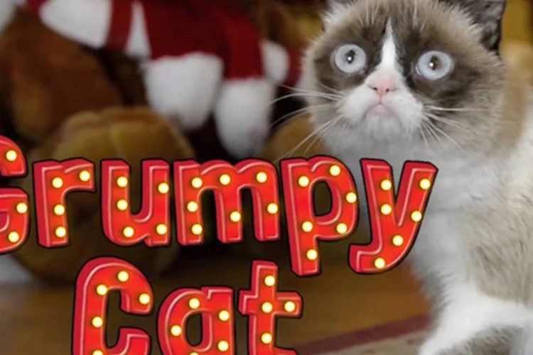 
	Grumpy Cat: uma das not&iacute;cias da semana em Marketing
 (Reprodução)