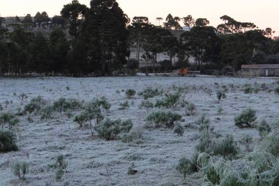 SC volta a ter temperatura negativa nesta madrugada