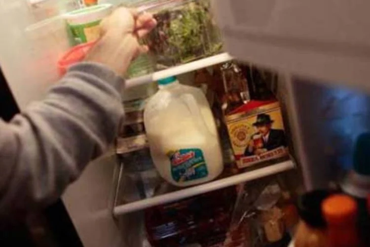 Pesquisador da UNICAMP cria um sistema simples que reduz em até 15% o consumo de energia dos refrigeradores. (.)