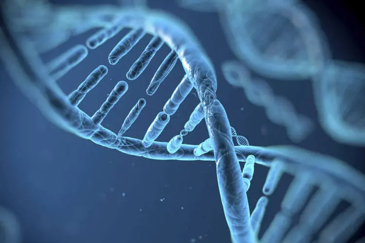 DNA: cientista utilizou "tesouras genéticas", que permitem substituir as partes indesejáveis do genoma humano (foto/Thinkstock)