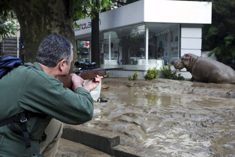 Geórgia: animais fugiram de zoológico e pessoas morreram após inundações (REUTERS/Beso Gulashvili)