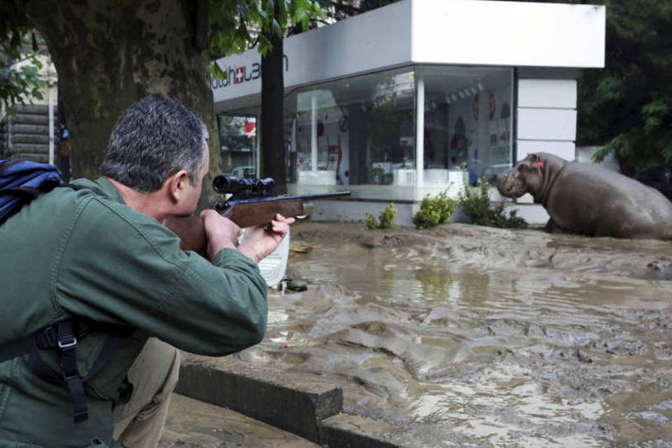 Animais escapam de zoológico após inundações na Geórgia