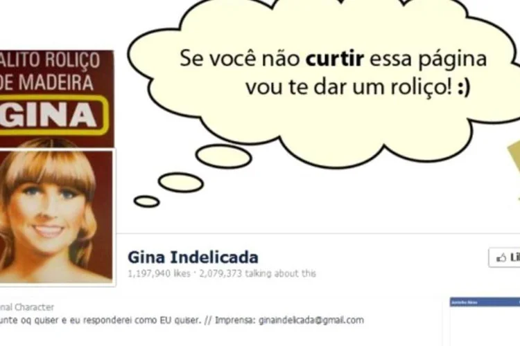 Gina Indelicada: em 10 dias, página passou de 1 milhão de fãs (Reprodução)
