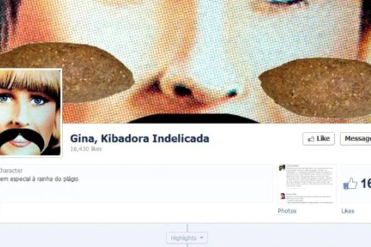 Gina, Kibadora Indelicada: perfil acusa "Gina Indelicada" de plágio (Reprodução/Facebook)
