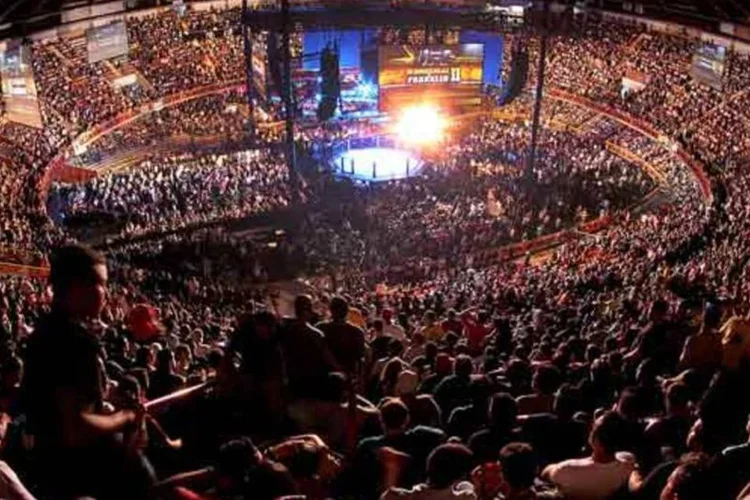 
	Luta do UFC, no Brasil: 40 novos produtos ser&atilde;o licenciados no&nbsp;pa&iacute;s neste ano
 (UFC / Divulgação)