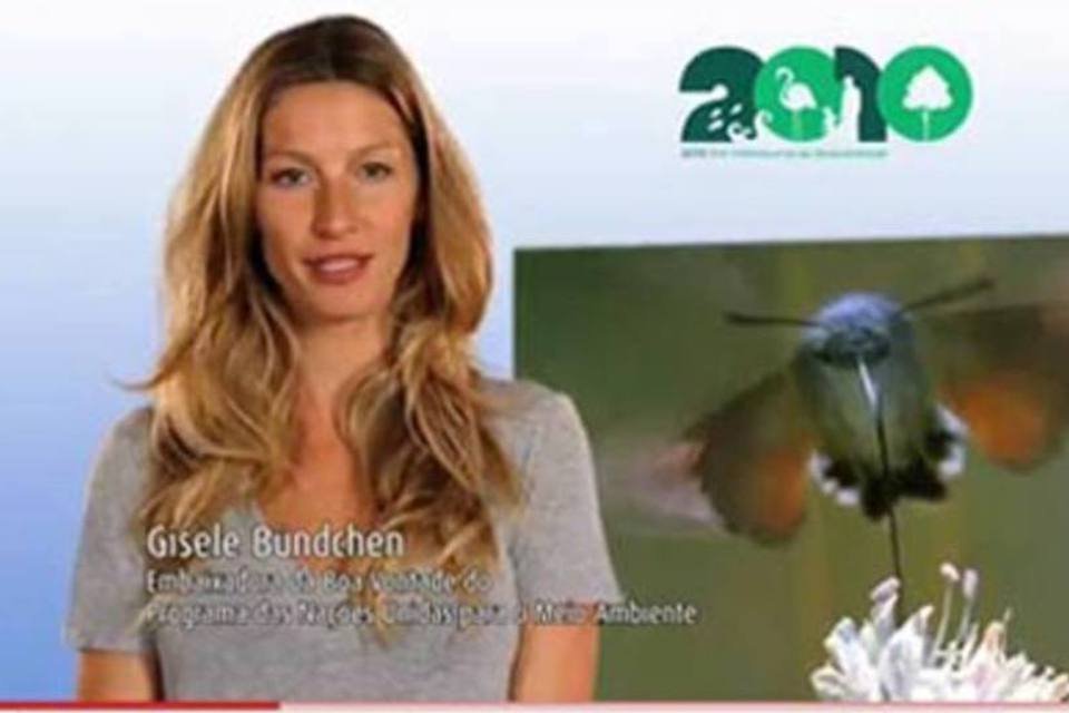 Gisele Bündchen estrela campanha da ONU pela biodversidade