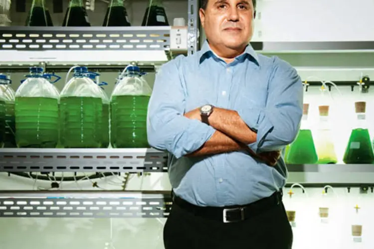 José Goldemberg, da Algae: o Brasil na corrida  pelo desenvolvimento dos biocombustíveis de microalgas (Daniela Toviansky/EXAME.com)