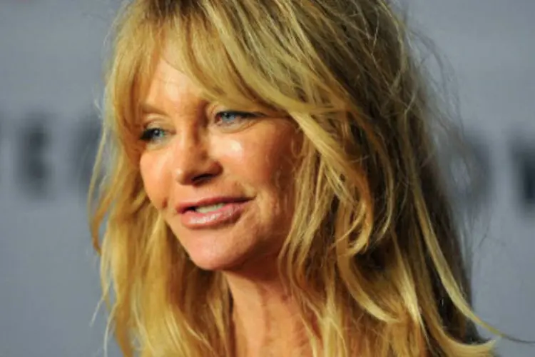 
	Goldie Hawn: a atriz convidou os participantes do F&oacute;rum a se concentrar nas intera&ccedil;&otilde;es entre os indiv&iacute;duos
 (AFP)
