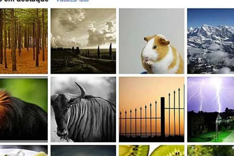 O site Álbuns da Web do Picasa, do Google, funciona integrado a um editor de fotos disponível para instalação no computador (Reprodução)