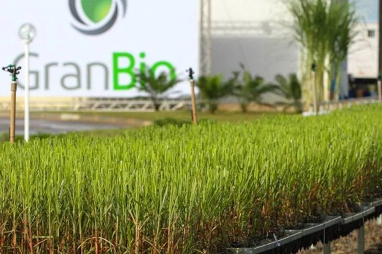 
	Granbio, em Alagoas: f&aacute;brica custou 190 milh&otilde;es de d&oacute;lares, tendo sido constru&iacute;da em grande parte com financiamentos de BNDES
 (Michel Rios/Granbio)