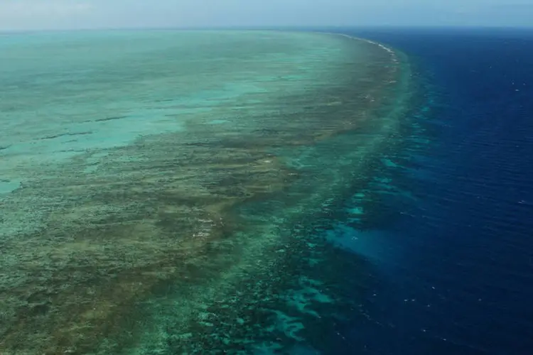 
	Grande Barreira de Coral: para os defensores do meio ambiente, a proximidade do porto de carv&atilde;o representa uma amea&ccedil;a
 (Phil Walter / Getty Images/Getty Images)