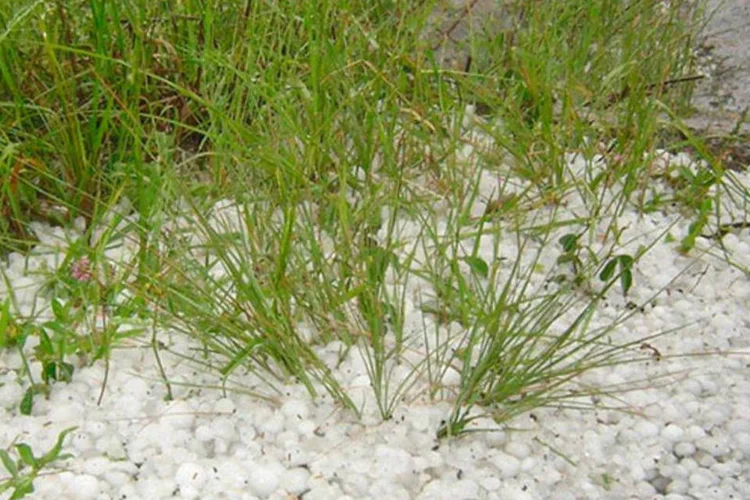 
	Granizo: o temporal come&ccedil;ou por volta das 18 horas de sexta-feira e durou cerca de 15 minutos
 (Rubenbreezy/Wikimedia Commons)