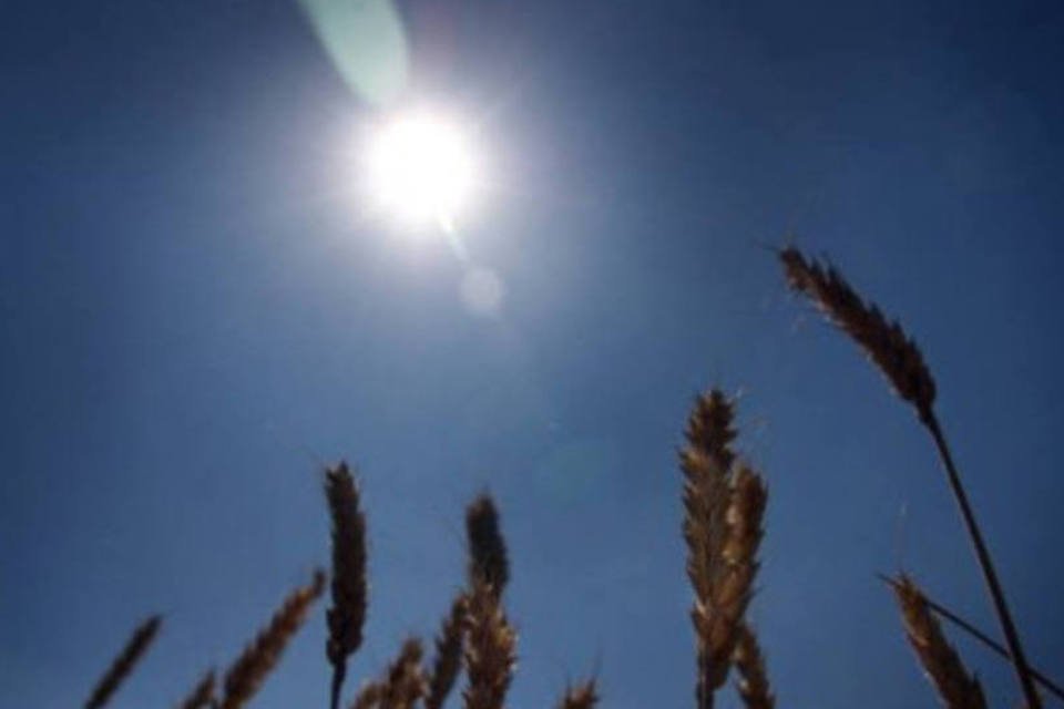 Setor agrícola russo perdeu mais de US$ 1 bilhão pela seca