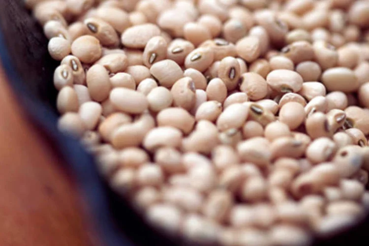 Grãos de feijão: preços de alimentos subiram 3,4% em janeiro, comparados a 2010 (Renato Parada/Vida Simples/Reprodução)
