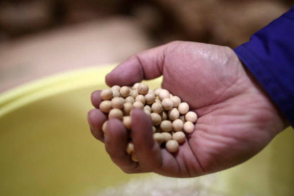 
	Gr&atilde;os de soja: o IBGE prev&ecirc; que soja, arroz e milho corresponder&atilde;o a 92,4% da produ&ccedil;&atilde;o e 87,4% da &aacute;rea colhida
 (Tomohiro Ohsumi/Bloomberg)