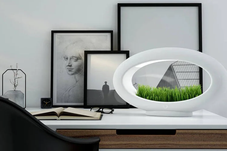 Grasslamp (Divulgação/Grasslamp)