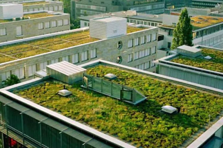 
	O telhado verde, por exemplo, &eacute; uma forma inteligente de reduzir o calor dentro de uma constru&ccedil;&atilde;o
 (Creative Commons/ Jeff McNeill)