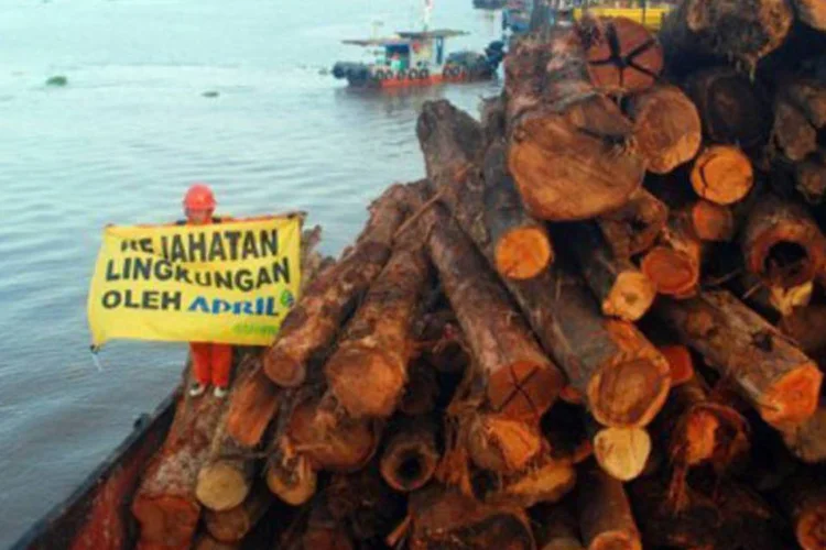 Ativista do Greenpeace na Indonésia segura cartaz em protesto contra o desmatamento (Modeerf Tserof/AFP)