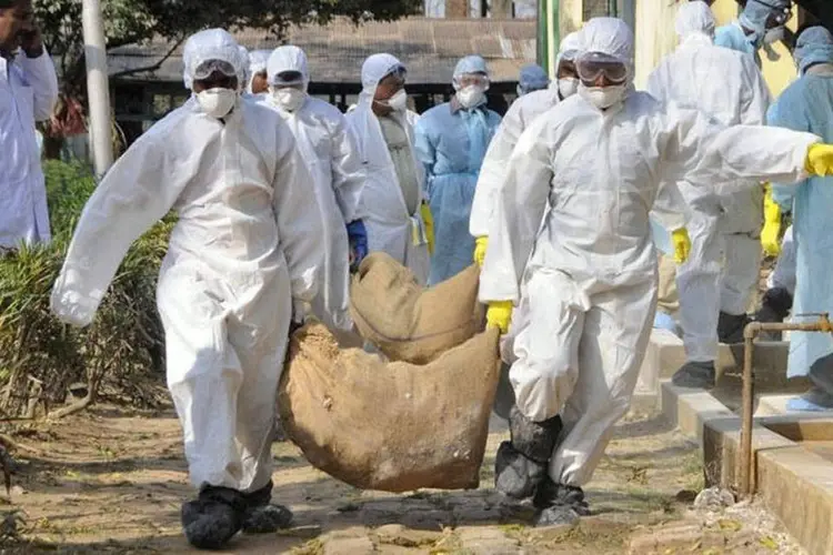 Agentes da saúde carregam aves abatidas no vilarejo de Gandhigram, no Estado de Tripura, nordeste da Índia (Reuters)