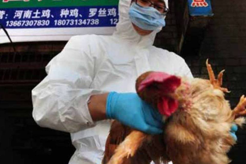 Gripe aviária H7N9 se propaga para outra província chinesa