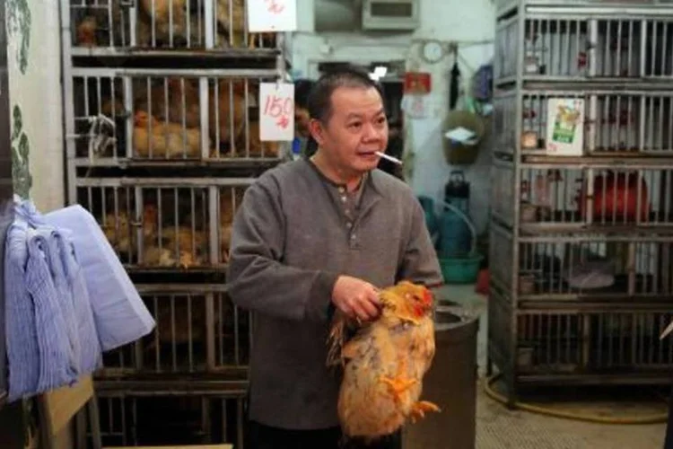Homem segura frango vivo em loja do bairro Wan Chai de Hong Kong (Isaac Lawrence/AFP)
