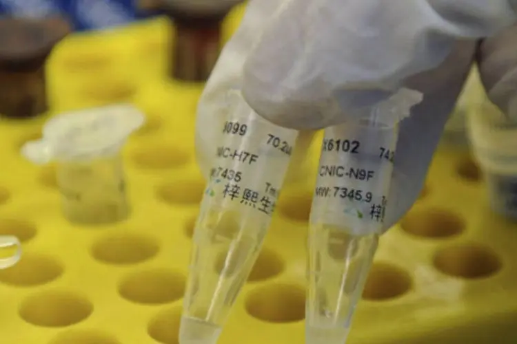 Técnico de laboratório mostra reagentes de teste para detectar o vírus H7N9, causador da gripe aviária (REUTERS / Stringer)