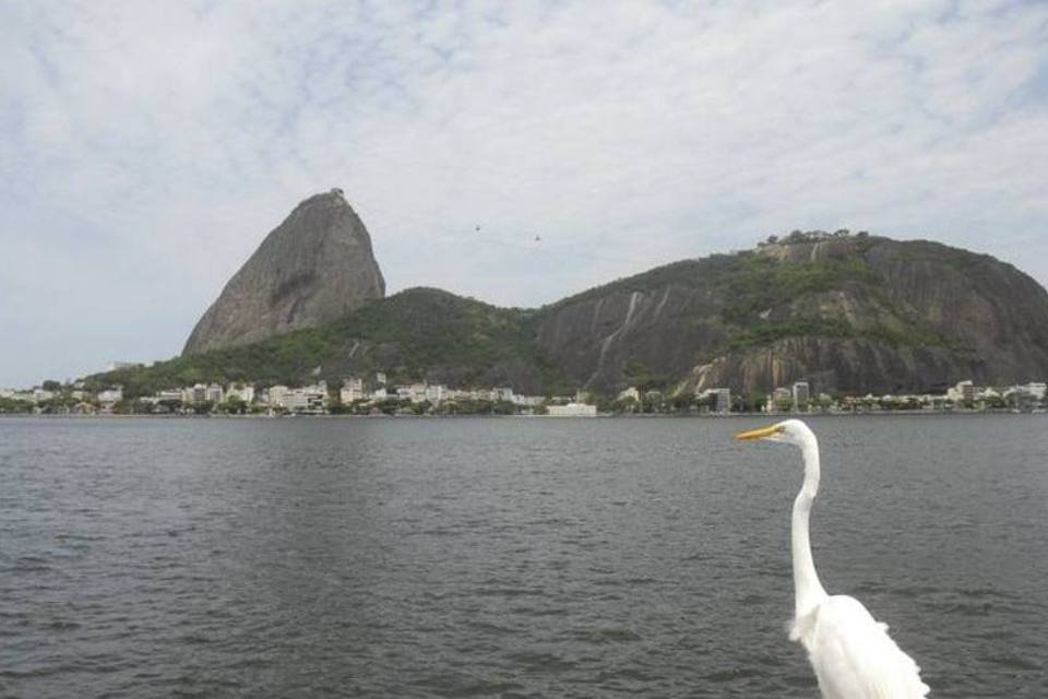 Taxista tenta fugir de assalto no Rio e cai no mar