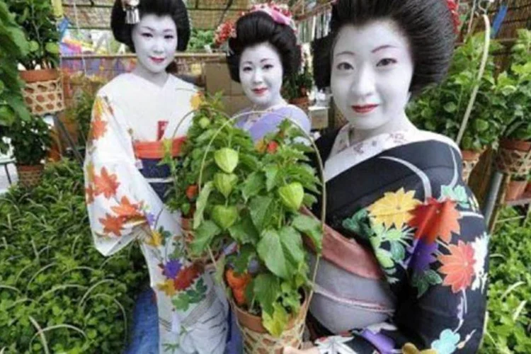 A demanda por gueixas caiu muito nos últimos anos no Japão (Toru Yamanaka/AFP)