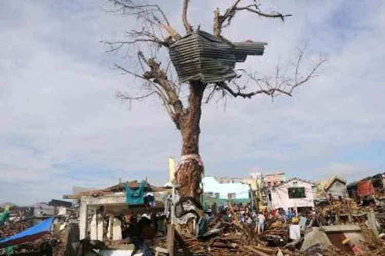 
	Destrui&ccedil;&atilde;o nas Filipinas provocada pelo tuf&atilde;o Haiyan: tuf&atilde;o&nbsp;atingiu a regi&atilde;o central das Filipinas deixando em sua passagem um rastro de morte e de destrui&ccedil;&atilde;o
 (©afp.com / NOEL CELIS)