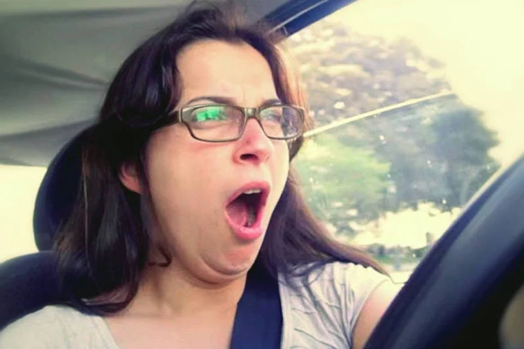 Motorista cochila ao volante em vídeo do Harken (Harken/YouTube)