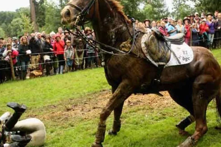 "Uma imagem para a situação é o garboso cavaleiro que, ao tentar subir no cavalo, pega mais embalo que o necessário e cai do outro lado. Quer-se aplicar a norma culta, mas falta a destreza necessária" (Gettu Images)
