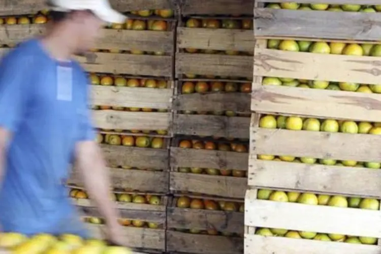 Trabalhadores carregam caminhão com caixas de laranja em fazenda, em Limeira (Paulo Whitaker/Reuters)