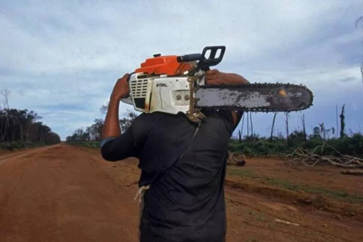 A proposta de reformulação do Código Florestal tramita no Congresso há quase uma década, mas a história da legislação florestal brasileira é bem mais antiga (ANTONIO MILENA)