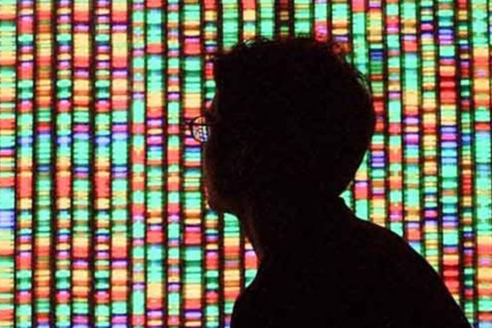 10 profissões para quem gosta de bioinformática
