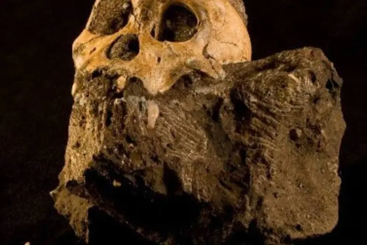 Fóssil foi encontrado no chamado Berço da Humanidade, a cerca de 40 quilômetros da capital Joanesburgo