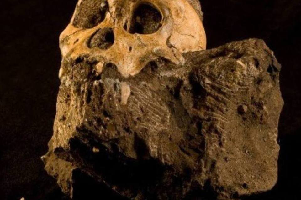 Fóssil foi encontrado no chamado Berço da Humanidade, a cerca de 40 quilômetros da capital Joanesburgo