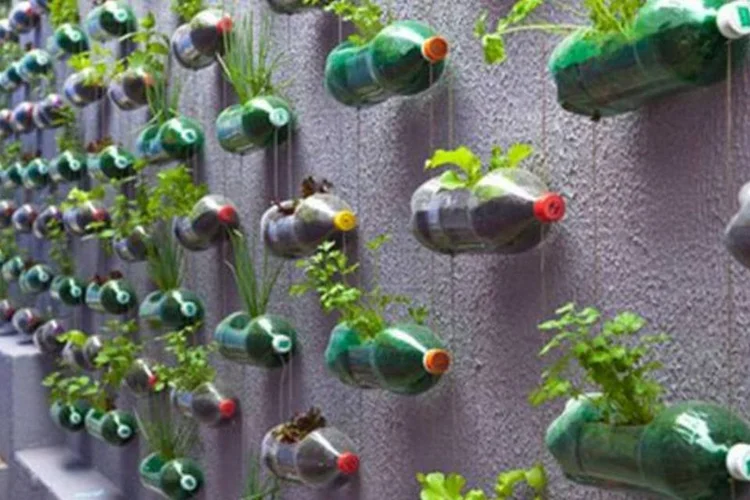 Sugestão é ideal para casas que não têm grandes áreas para jardins (Reprodução/Rosenbaum.com)