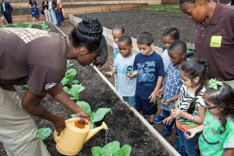 
	Al&eacute;m de oferecer alimenta&ccedil;&atilde;o de boa qualidade aos moradores, horta urbana ter&aacute; centro educativo para crian&ccedil;as e empregos para 34 jovens
 (New York City Housing Authority)