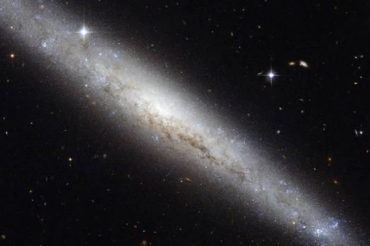 
	Gal&aacute;xia NGC 4183 tirada pelo Hubble: A NGC 4183, ligeiramente menor que a Via L&aacute;ctea, est&aacute; na dire&ccedil;&atilde;o da constela&ccedil;&atilde;o de Canes Venatici
 (ESA/Hubble & NASA)