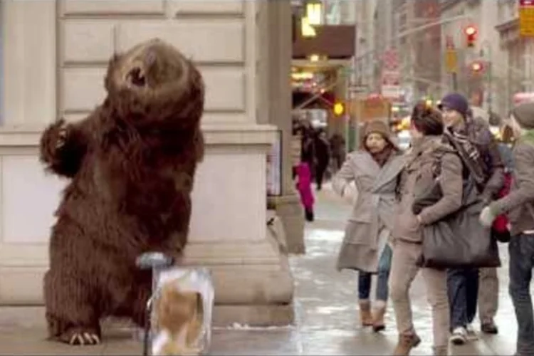 Hungry bear loose in NYC