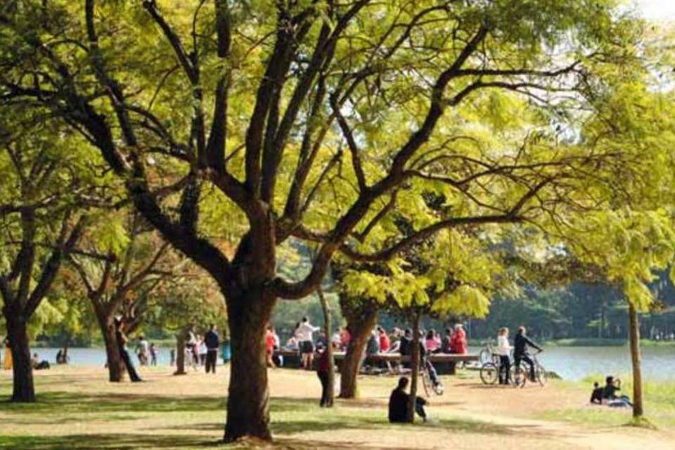 Parque do Ibirapuera reabre parcialmente após temporal