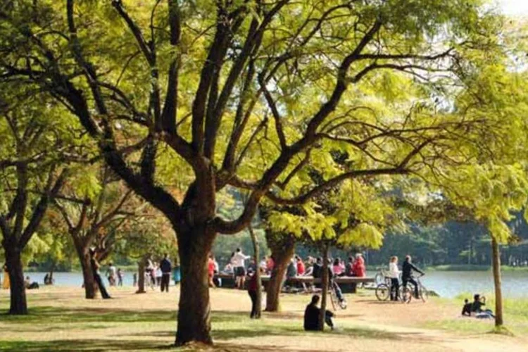 
	Parque do Ibirapuera: estrutura ter&aacute; 54 metros de altura e 30 de di&acirc;metro
 (CC/ Vinicius Pinheiro/ flickr.com/vineco)